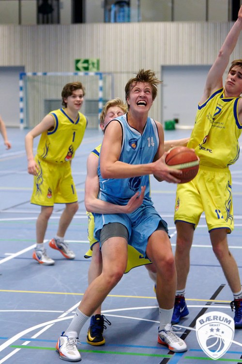 _12_5196-basket130413-01-bb-XL