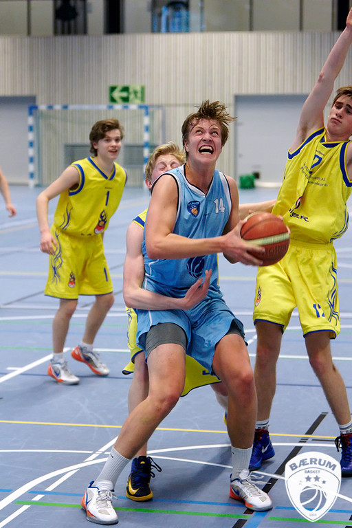 _12_5196-basket130413-01-bb-XL