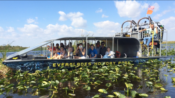 På alligator-safari